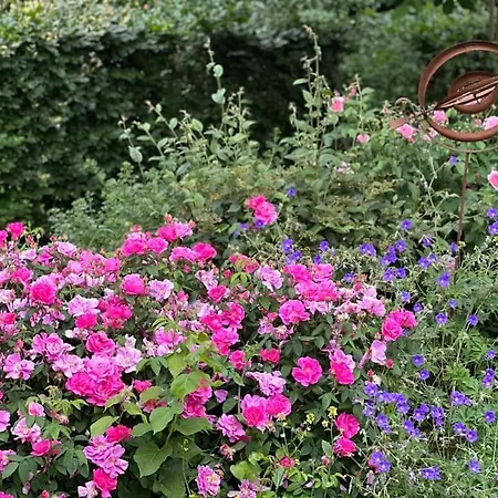 Lumineux Et Chaleureux Avec Piscine Estivale بيت للعطل *