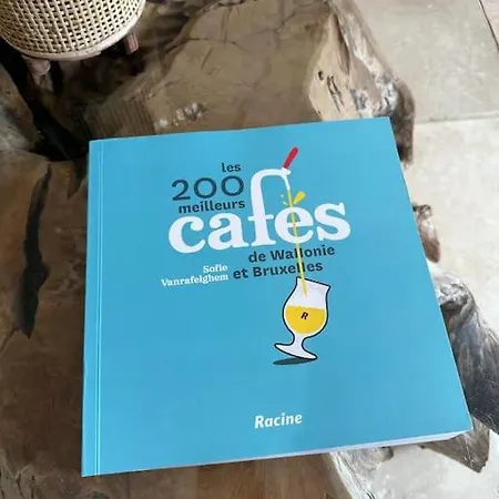 Lumineux Et Chaleureux Avec Piscine Estivale Ferienhaus Ramillies