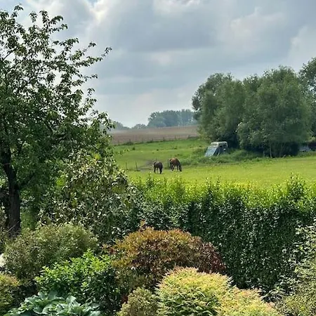 Lumineux Et Chaleureux Avec Piscine Estivale Ferienhaus Ramillies