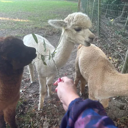 بيت للعطل Lumineux Et Chaleureux Avec Piscine Estivale *