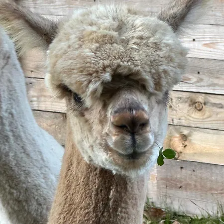 Lumineux Et Chaleureux Avec Piscine Estivale * Ramillies