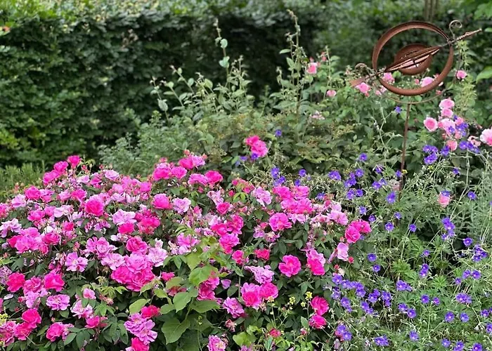 Lumineux Et Chaleureux Avec Piscine Estivale Vakantiehuis *