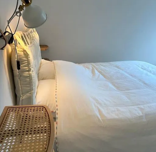 Lumineux Et Chaleureux Avec Piscine Estivale