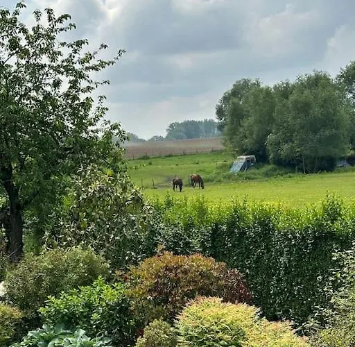 Lumineux Et Chaleureux Avec Piscine Estivale Tatil Evi Ramillies
